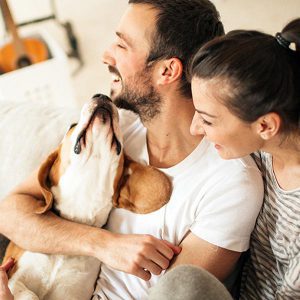 Mascotas en casa, otra razón para desparasitar a la familia